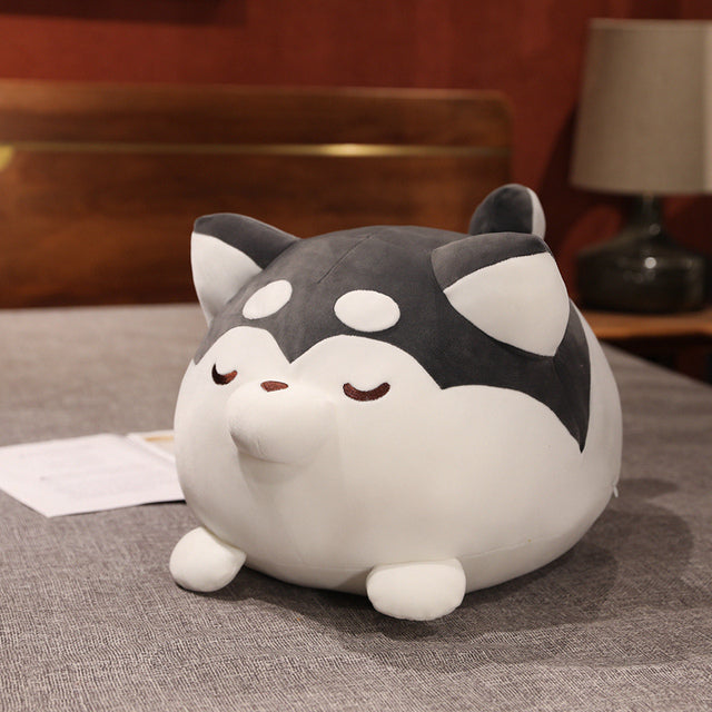 Peluche Shiba Inu Chonky pour enfants et collectionneurs