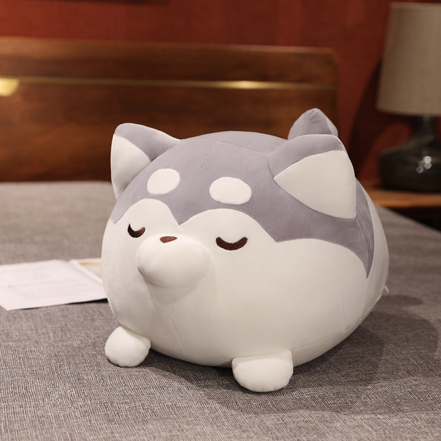 Peluche Shiba Inu Chonky pour enfants et collectionneurs