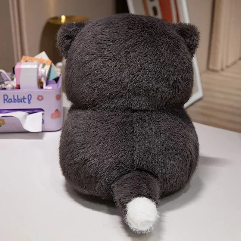 Chat en peluche dodu pour enfants