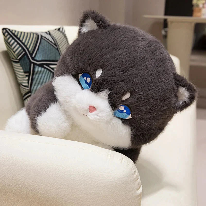 Chat en peluche dodu pour enfants