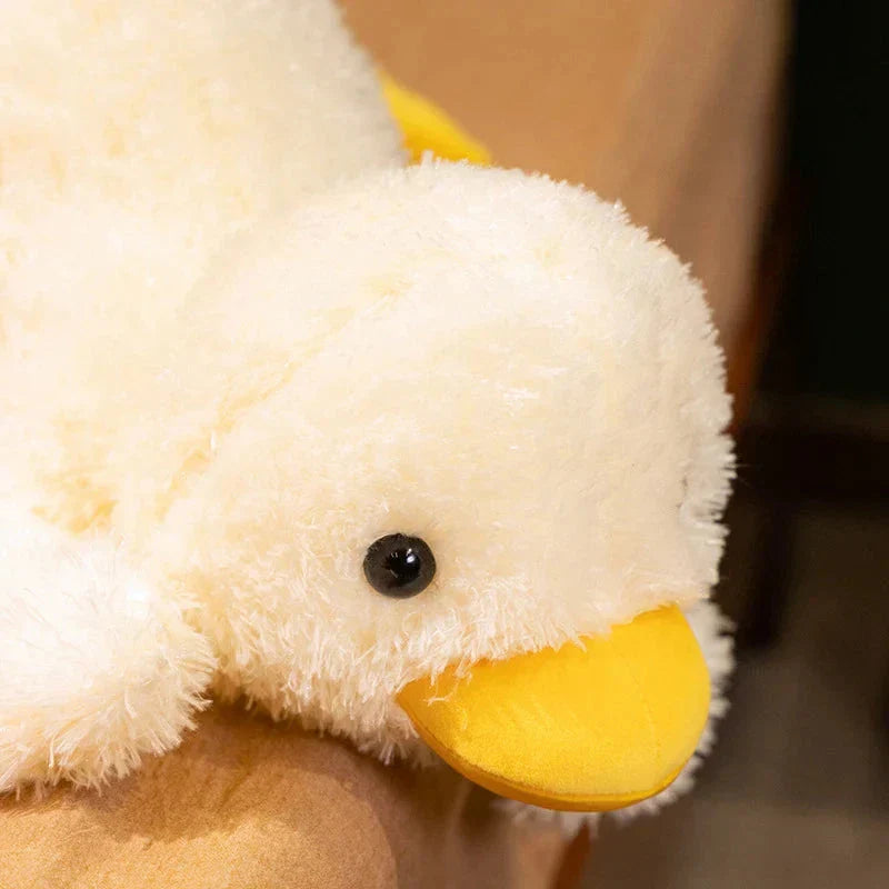 Peluches Bébé Canard