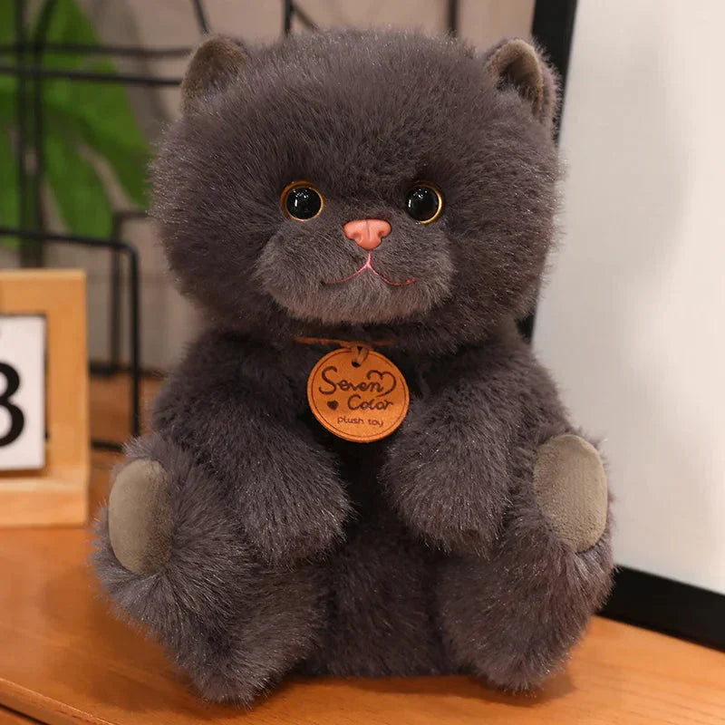 Peluches Chatons Douces Moelleuses Enfants