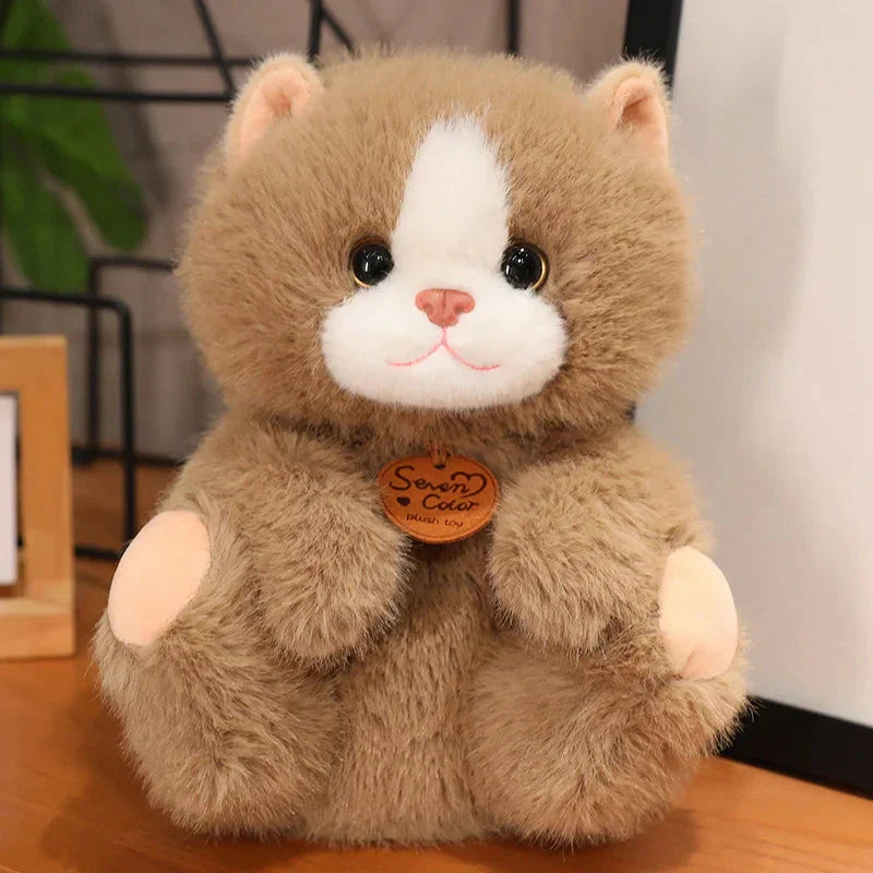 Peluches Chatons Douces Moelleuses Enfants