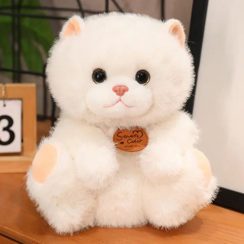 Peluches Chatons Douces Moelleuses Enfants