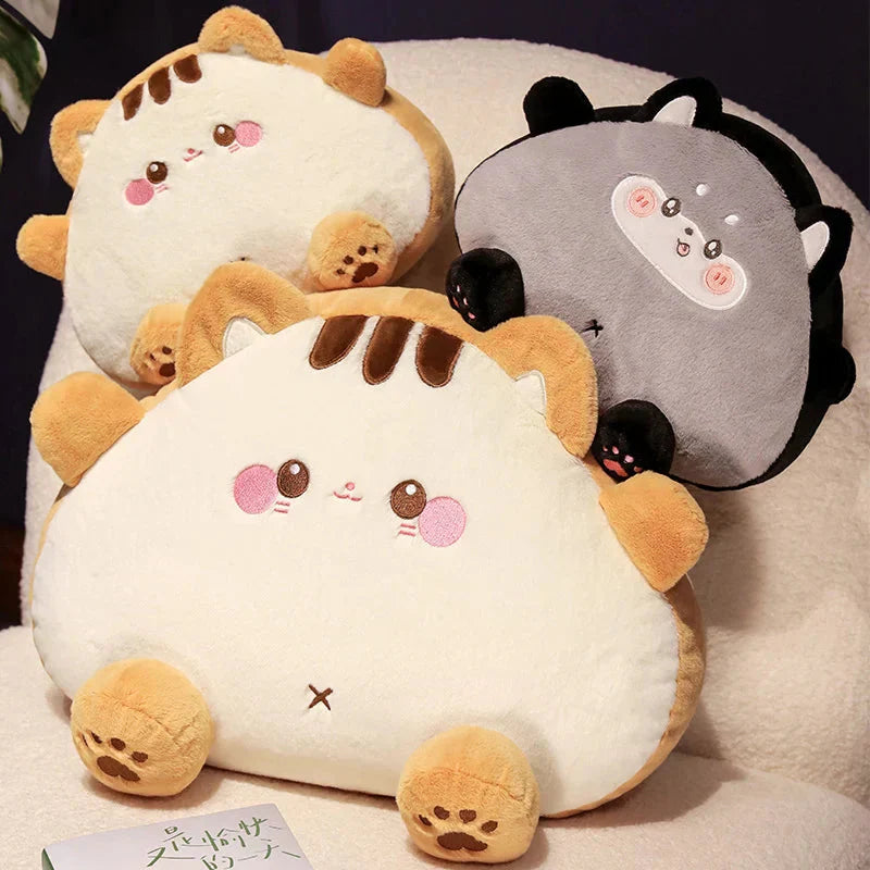 Peluches Chats Pain Grillé pour Enfants