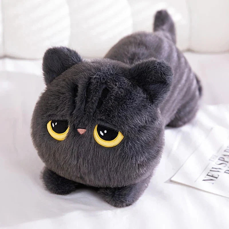 Peluches Chats Gros Chats Douillets pour Enfants