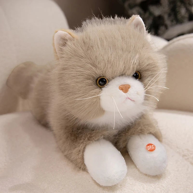 Cute Persian Cat Plush Toy with Soft Stuffed Kitty Animal Design