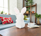 Cute Rabbit Plush Toy with Carrot and Soft Stuffed Bunny Design for Kids