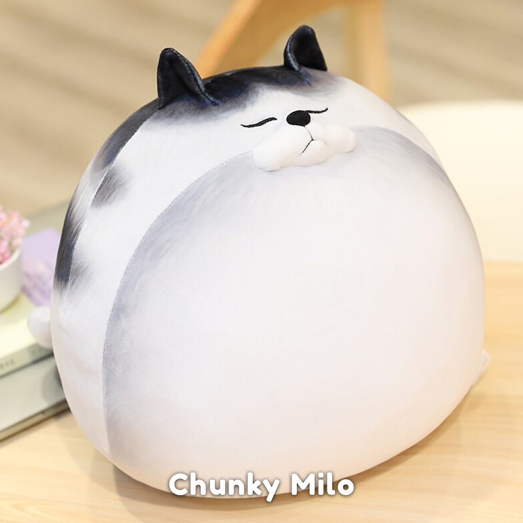 Jouet en peluche chat Chonky Cat grande figurine peluche