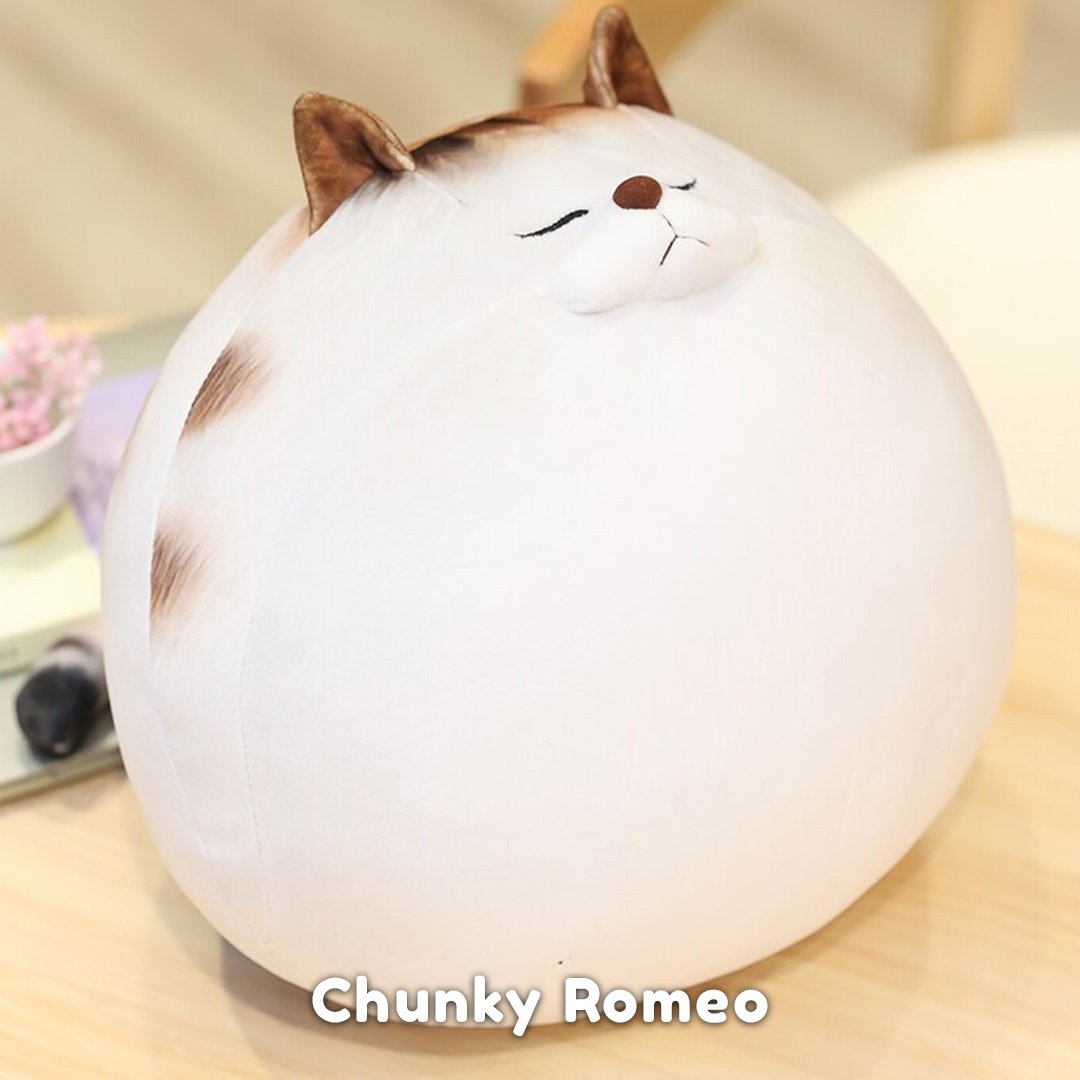 Jouet en peluche chat Chonky Cat grande figurine peluche