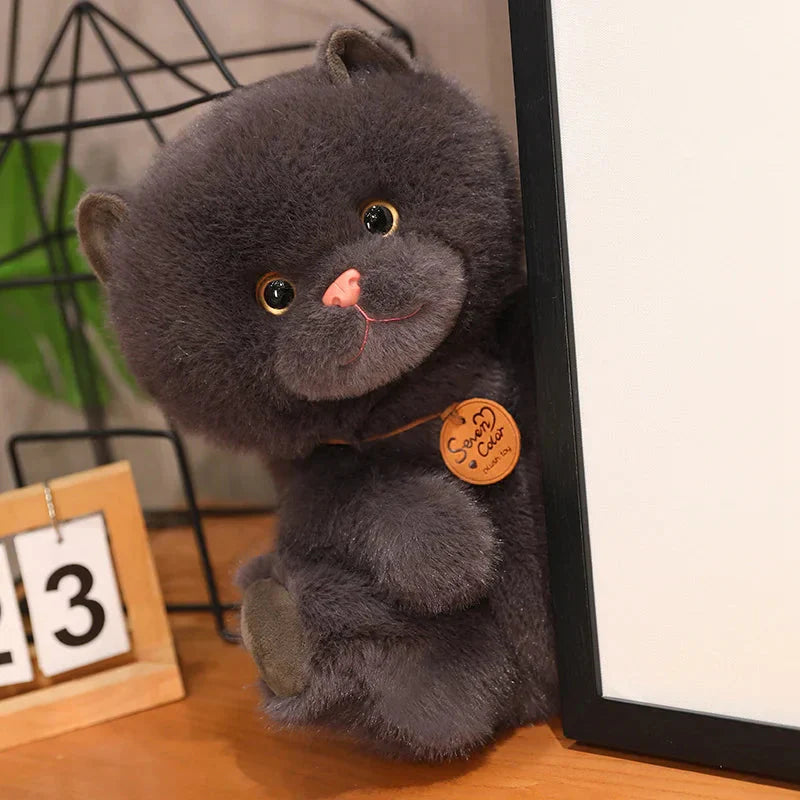Peluches Chatons Douces Moelleuses Enfants