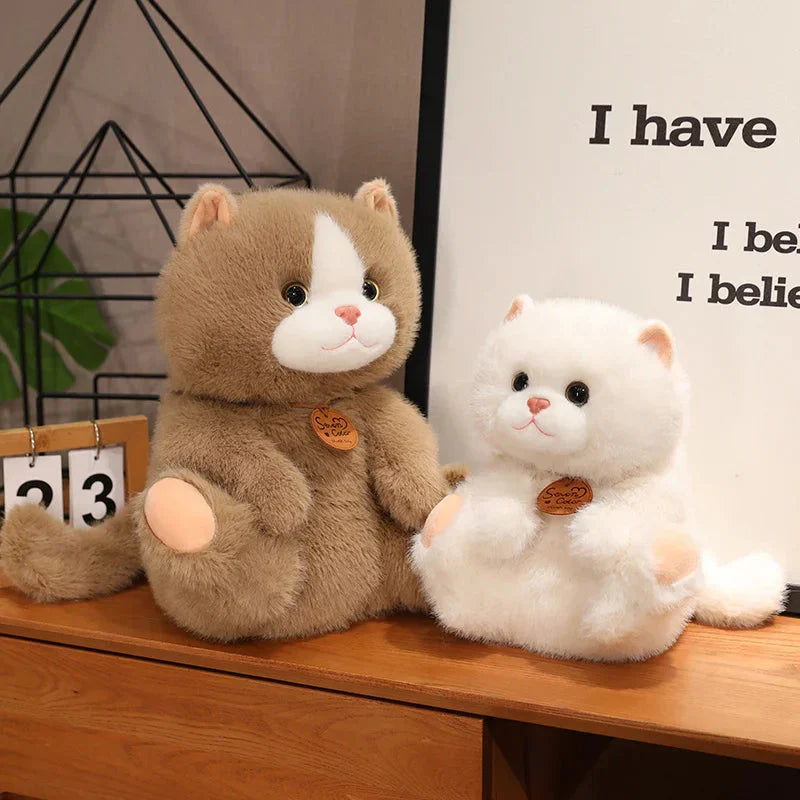 Peluches Chatons Douces Moelleuses Enfants