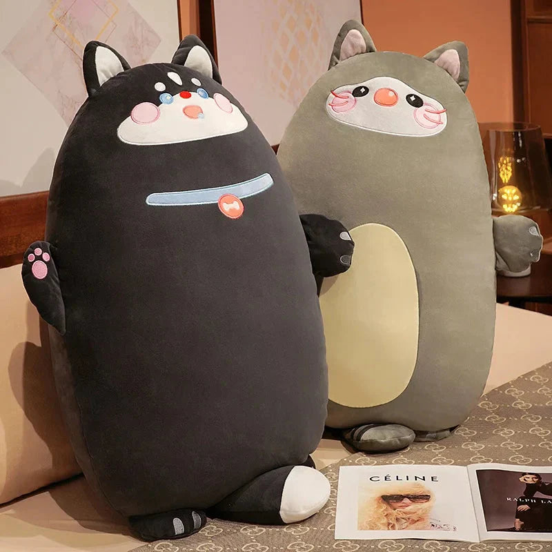 Peluches Chien Chat Lapin Canard Collection 2024